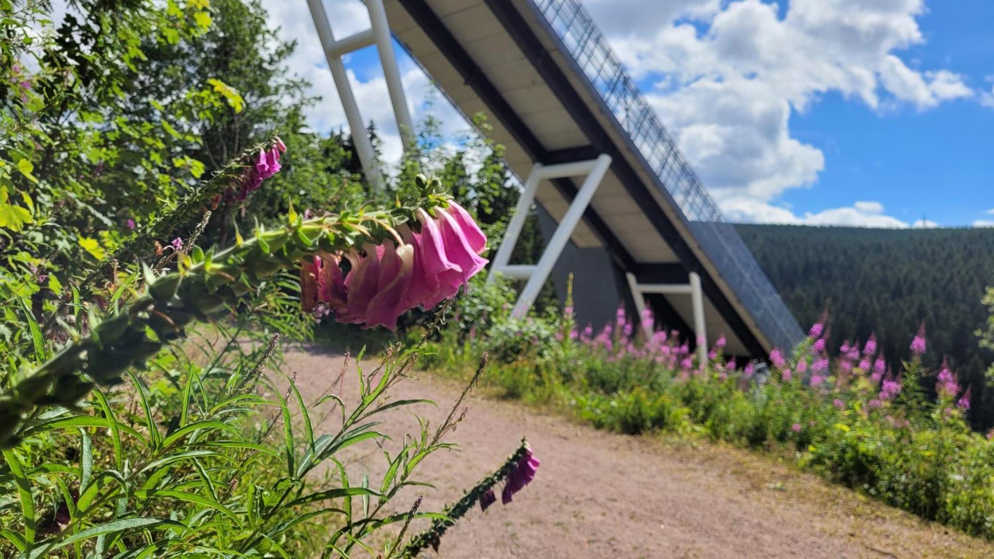 Wohlfuehl-Ferienwohnung Mit Tiefgarage Im Gruenen Oberhof  Esterno foto