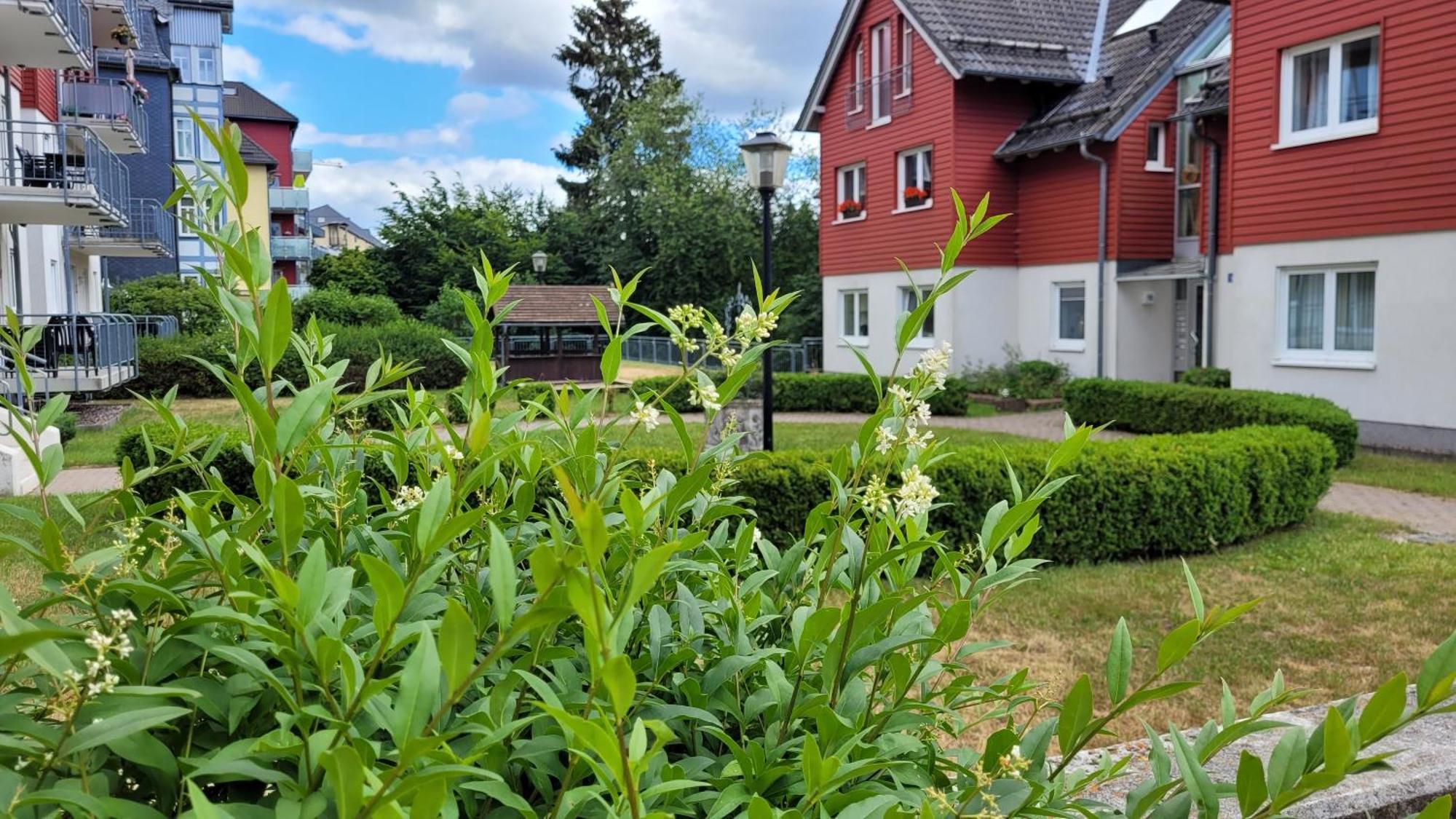 Wohlfuehl-Ferienwohnung Mit Tiefgarage Im Gruenen Oberhof  Esterno foto